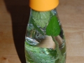 2013_05_18__21794.jpg
