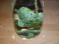 2013_05_18__21795.jpg