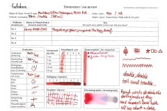 Tintentest Montblanc William Shakespeare Velvet Red: Testformular