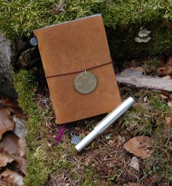 Midori Traveler's Notebook: Limited "Traveler's Star Edition" & Kaweco AL Sport (champagner)