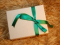 Midori Traveler's Notebook: Limited "Traveler's Star Edition"