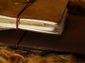 Midori Traveler's Notebook (braun) & Limited "Traveler's Star Edition"